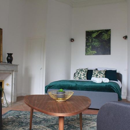 Paul Sabatier-T1-Vue Sur Jardin-Luxe-Wifi-Fi-Velo Apartment Castelnaudary Ngoại thất bức ảnh