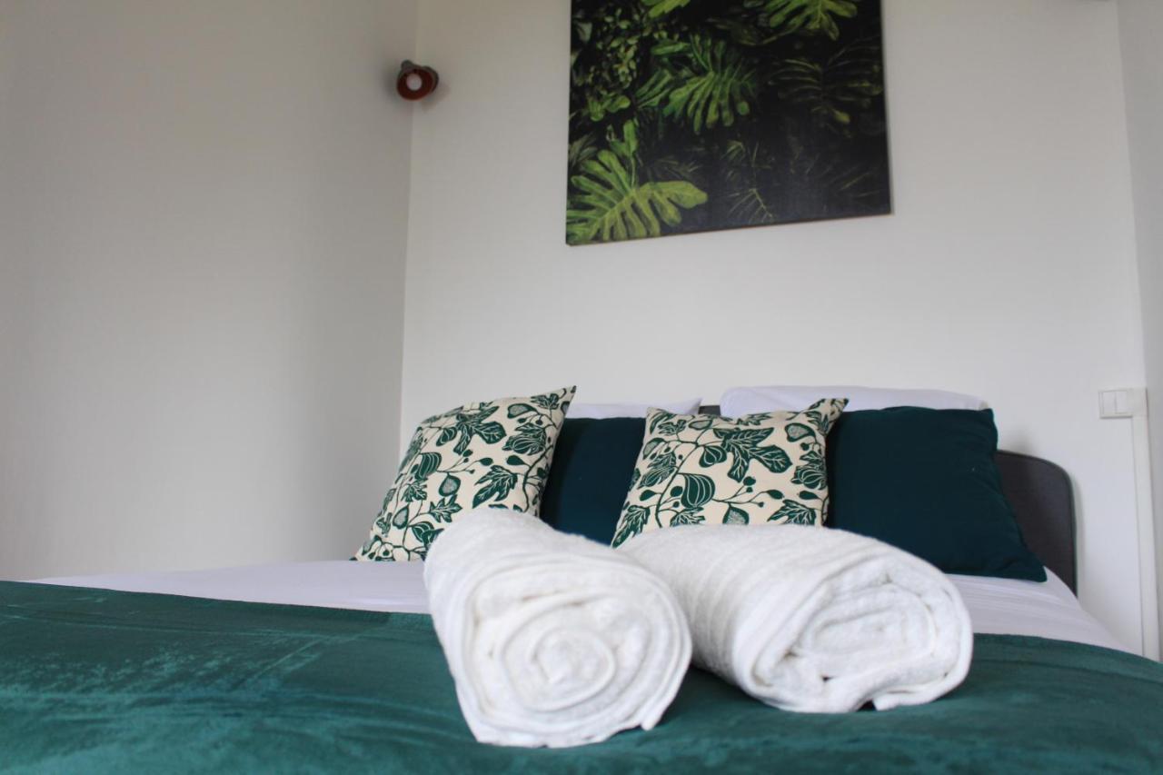 Paul Sabatier-T1-Vue Sur Jardin-Luxe-Wifi-Fi-Velo Apartment Castelnaudary Ngoại thất bức ảnh